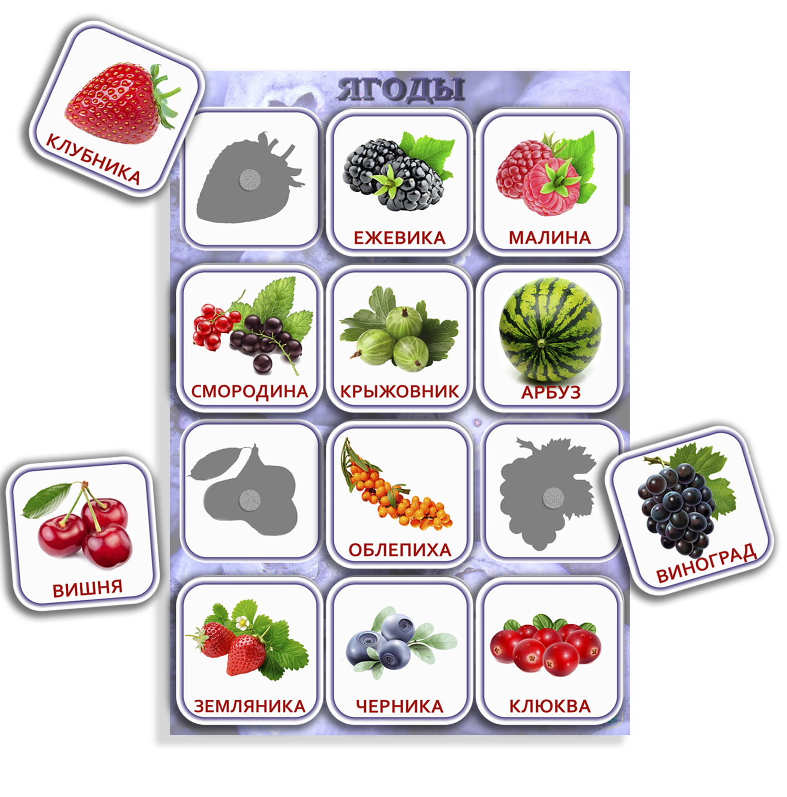 Комплект теневое лото Овощи Фрукты Ягоды - nepogodam