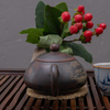 Нисинский чайник "Цзинь Сю Хэ Шань" 160 мл
