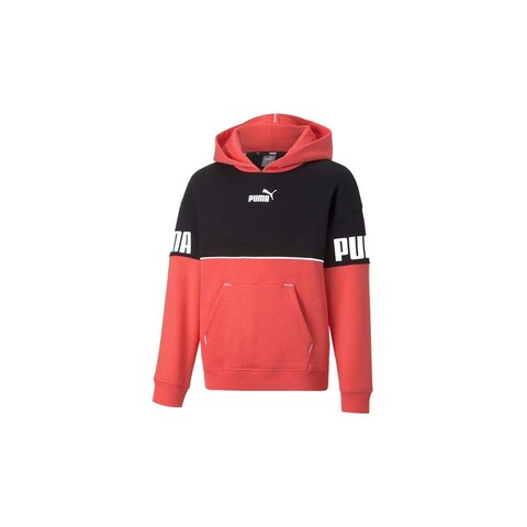Толстовка Puma Power Colorblock Hoodie FL G