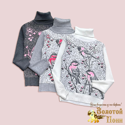 Свитер девочке (3-7) 251023-GN583