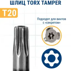 Бита отверточная ПРАКТИКА Профи Torx Tamper-20 х 25мм (2шт) (035-653)
