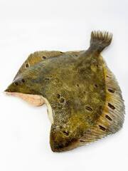 Камбала пбг, корабельной замор. (0,5-1), 6 кг