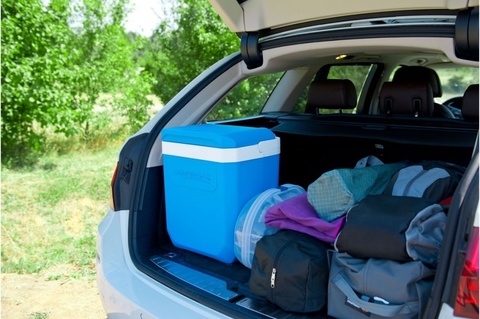 Изотермический контейнер (термобокс) Campingaz Icetime Plus (30 л.)