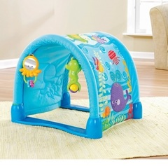 Fisher Price Коврик-туннель 