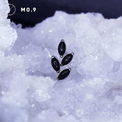 Leaflet Blue Sand Stone