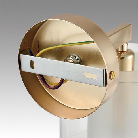 Настенный светильник Lumion VERDI 6587/1W