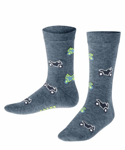 Носки Motocross FALKE 12979/6660