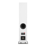 Напольная акустика Dali Oberon 5 White разъемы