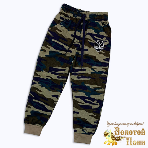 Брюки спорт/хлопок (5-8) 241027-G9010