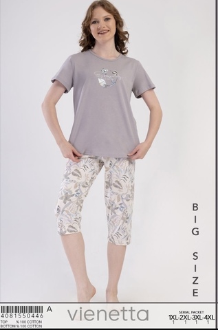 1Xl 2X 3Xl 4Xl