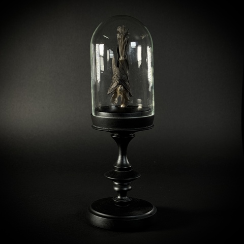 Летучая мышь в клоше