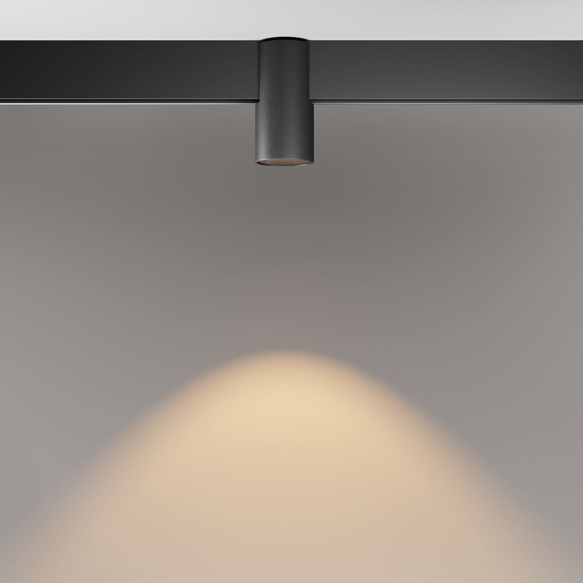 Трековый светодиодный светильник Maytoni Technical Magnetic Exility Alfa TR122-2-7W3K-B
