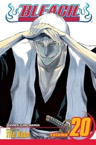 Bleach. Vol. 20 (На английском языке)