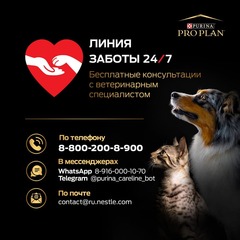 Pro Plan сухой корм для взрослых собак средних пород с чувствительным пищеварением (лосось,рис) 14кг