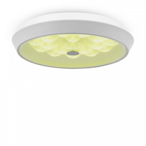 Потолочный светодиодный светильник FR10012CL-L24W