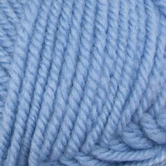 Пряжа Shetland Chunky. Цвет: Голубой. Артикул: 636