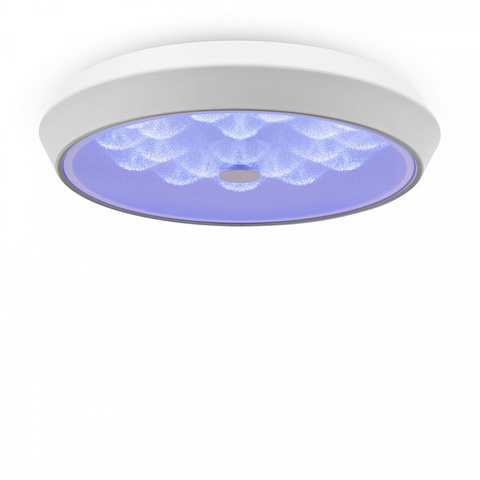 Потолочный светодиодный светильник FR10012CL-L24W