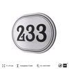 Номерок на дверь квартиры 233, для кабинета, офиса, шильдик 9 х 7 см, серебристый, Айдентика Технолоджи