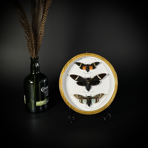 Композиция в рамке на подставке