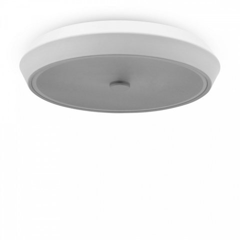 Потолочный светодиодный светильник FR10012CL-L24W