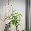 Подвесной светильник Loft It Nuance 8139-A