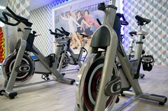 Сайкл Aerofit PS300E