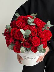 собран сегодня #03