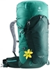 Картинка рюкзак туристический Deuter Speed Lite 30 SL Forest-Alpinegreen - 1
