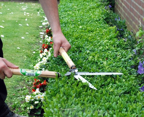 Ножницы садовые для живой изгороди Okatsune 231