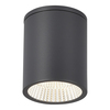 Светильник уличный потолочный ST Luce Tubo SL9514.712.01