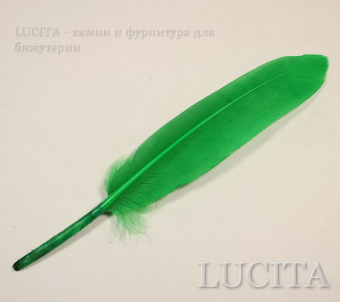 Перо декоративное (цвет- зеленый) 10-15 см , 10 шт ()