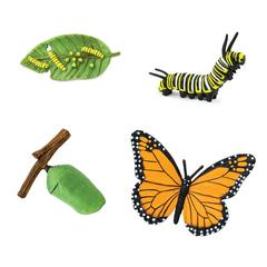 Набор фигурок Жизненный цикл бабочки Монарх, Safari Ltd.