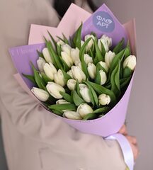 31 белый тюльпан