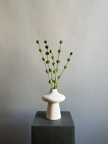 Гомфрена шаровидная стабилизированная зеленая