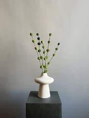 Гомфрена шаровидная стабилизированная зеленая