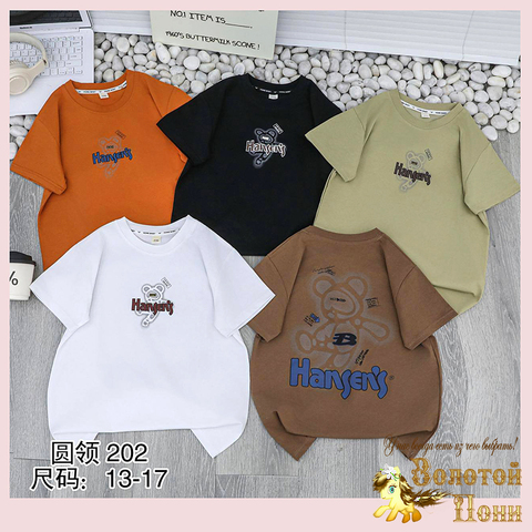 Футболка хлопок м (5-9) 260119-SL6110