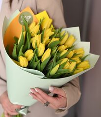 31 жёлтый тюльпан