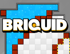 Briquid (для ПК, цифровой код доступа)