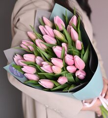 31 розовый тюльпан