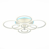 Светильник потолочный Evoled Cerina SLE500552-08RGB