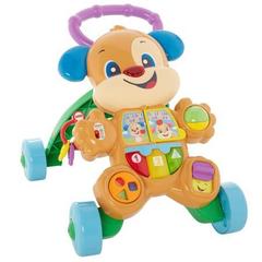 Fisher Price Каталка-ходунки Ученого щенка (FBC93/FRC93)