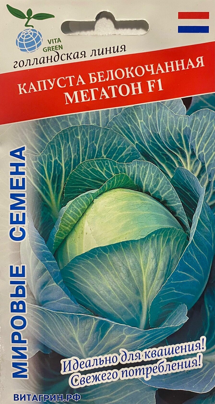 Купить семена мегатон. Семена Гавриш AGROELITA капуста белокочанная Мегатон f1 10 шт.. Капуста б/к Мегатон f1. Семена Гавриш Bejo капуста белокочанная Мегатон f1 10 шт.. Семена Гавриш AGROELITA капуста белокочанная реактор f1 10 шт..