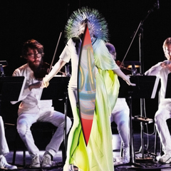Bjork / Vulnicura Strings (2LP)
