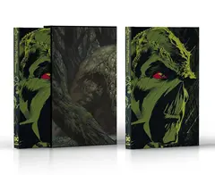 Absolute Swamp Thing by Len Wein and Bernie Wrightson