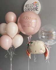 Набор шаров на выписку №13