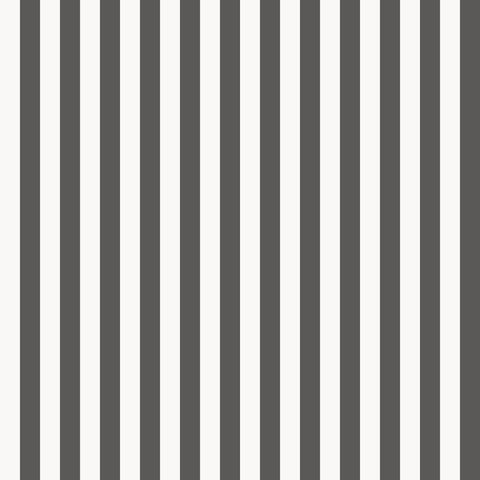  Обои Sandberg Rand Skandinavian Stripes 526-71, интернет магазин Волео