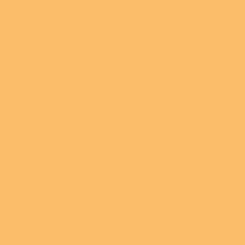 Пастель масляная мягкая профессиональная MUNGYO Gallery №203 Оранжево-желтый