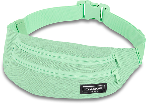 Картинка сумка поясная Dakine classic hip pack Dusty Mint - 1