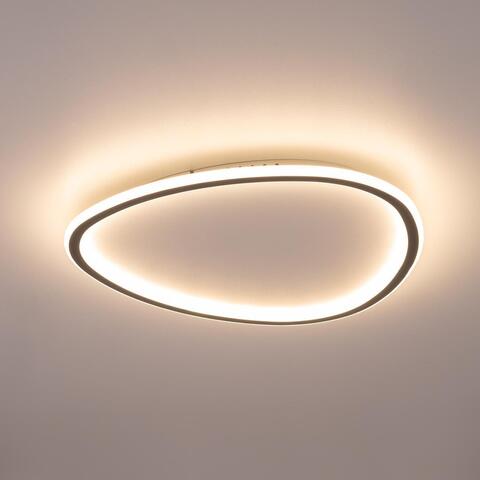 Потолочный светодиодный светильник Citilux Тrio CL215B251E