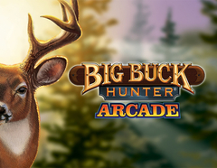 Big Buck Hunter Arcade (для ПК, цифровой код доступа)